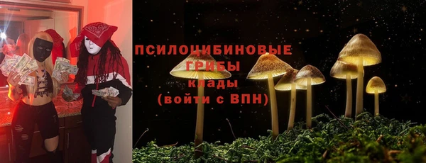 спайс Богородицк