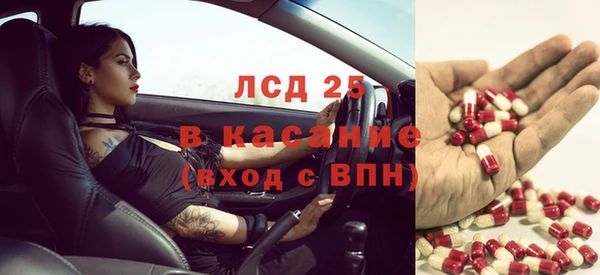 прущий лед Богданович