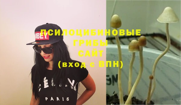 a pvp Богородск