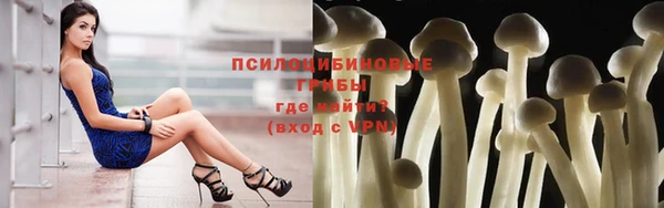 прущий лед Богданович