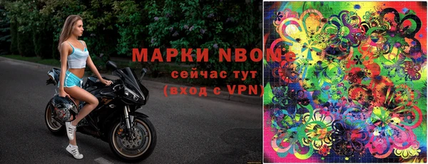 прущий лед Богданович