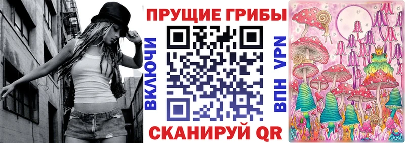 блэк спрут ссылки  где купить наркоту  Светогорск  Псилоцибиновые грибы GOLDEN TEACHER 