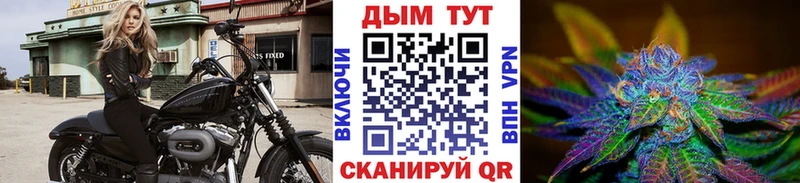 Конопля Amnesia  Светогорск 